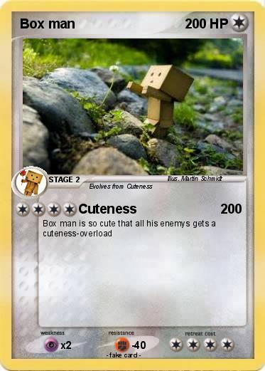 Pokemon Box man