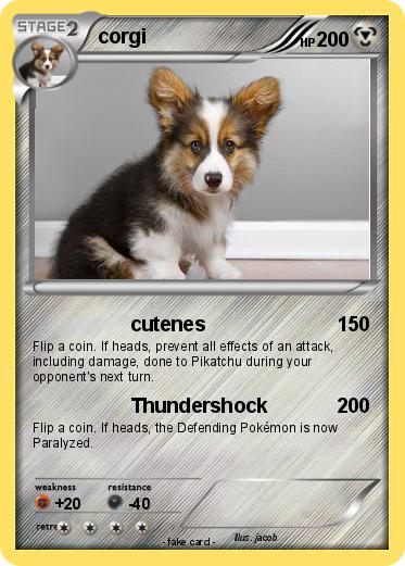 Pokemon corgi