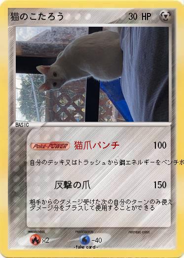 Pokemon 猫のこたろう