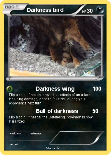 Pokemon Darkness bird