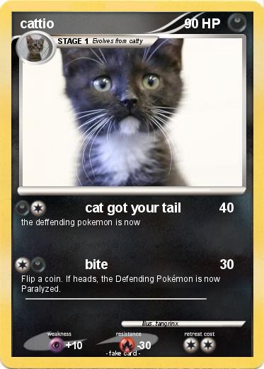 Pokemon cattio