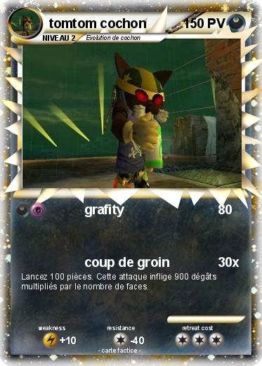 Pokemon tomtom cochon