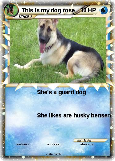 Pokemon This is my dog rose