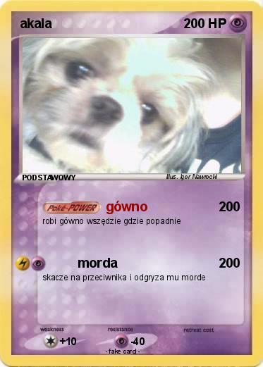 Pokemon akala