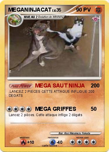 Pokemon MEGANINJACAT