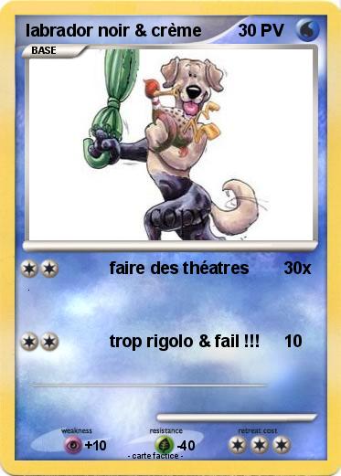 Pokemon labrador noir & crème