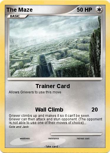 Pokemon The Maze