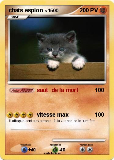 Pokemon chats espion