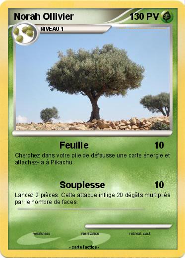 Pokemon Norah Ollivier