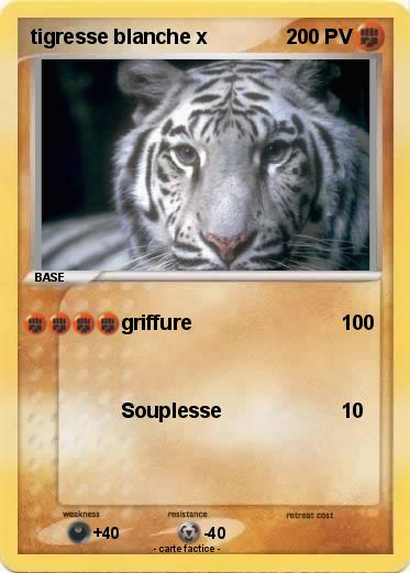 Pokemon tigresse blanche x