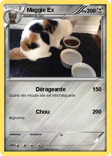 Pokemon Maggie Ex