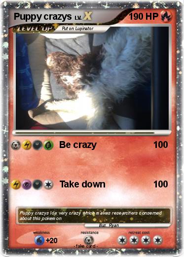 Pokemon Puppy crazys