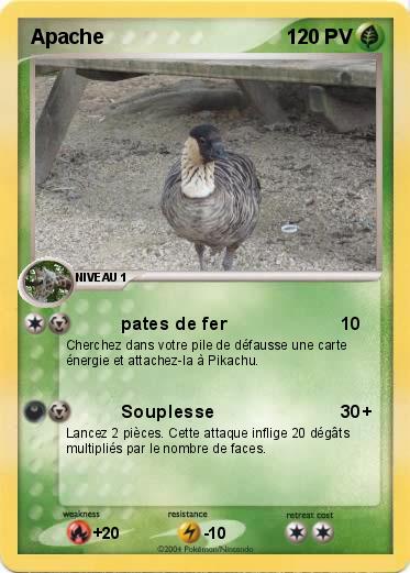 Pokemon Apache