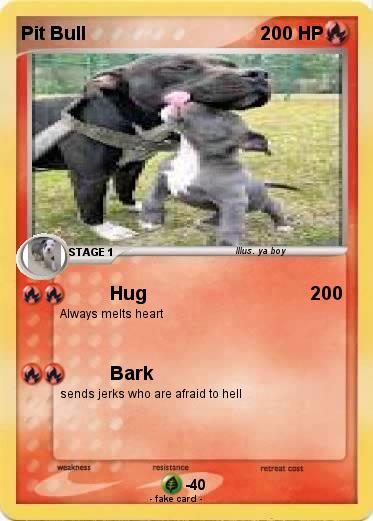 Pokemon Pit Bull