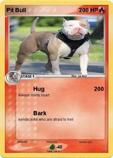 Pokemon Pit Bull