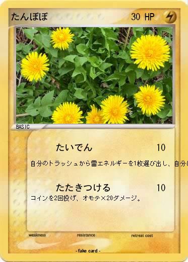 Pokemon たんぽぽ