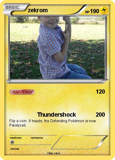 Pokemon zekrom
