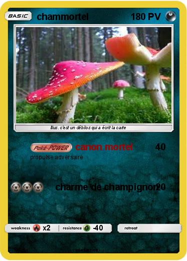 Pokemon chammortel