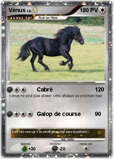 Pokemon Vénus