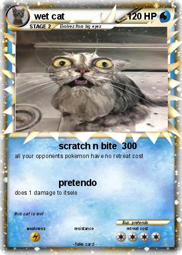 Pokemon wet cat