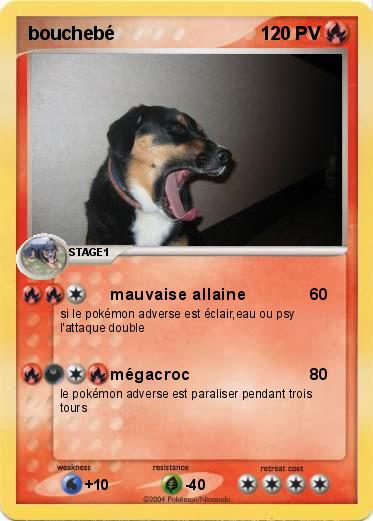 Pokemon bouchebé
