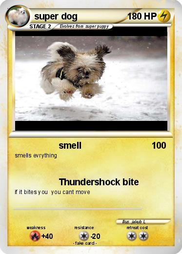 Pokemon super dog