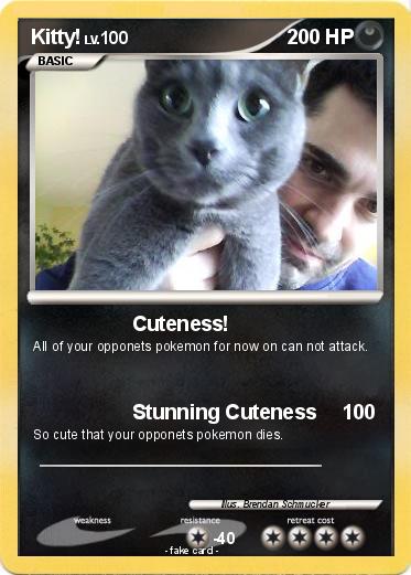 Pokemon Kitty!