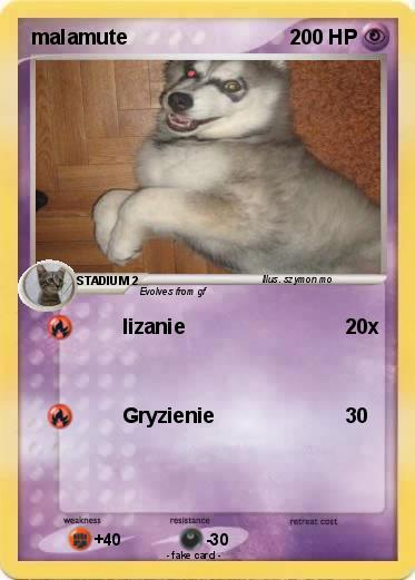 Pokemon malamute