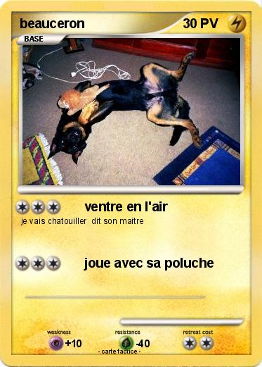 Pokemon beauceron