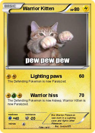 Pokemon Warrior Kitten