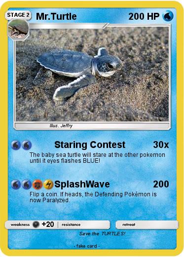 Pokemon Mr.Turtle