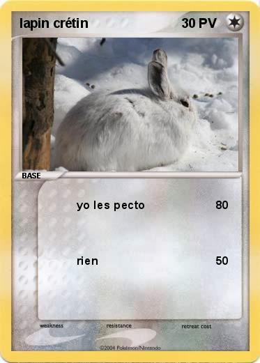 Pokemon lapin crétin