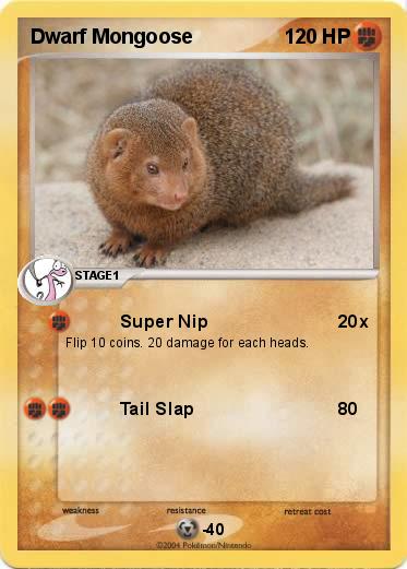 Pokemon Dwarf Mongoose