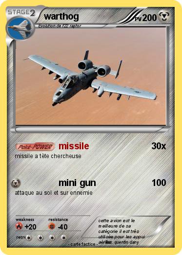 Pokemon warthog