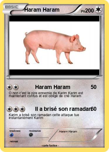 Pokemon Haram Haram