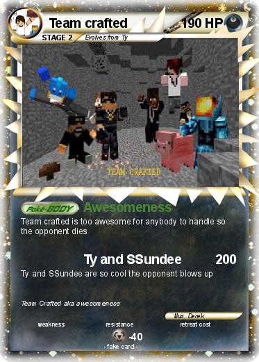 Pokemon Team crafted