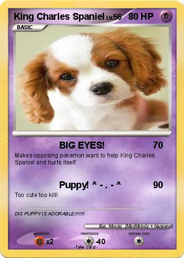 Pokemon King Charles Spaniel