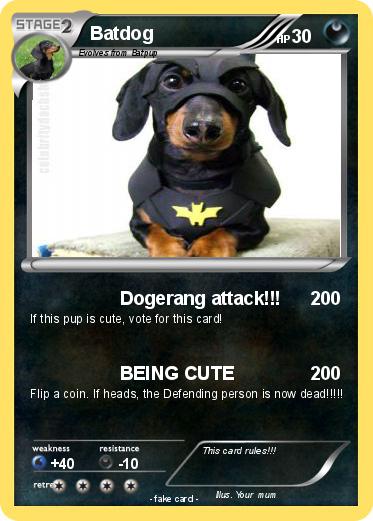 Pokemon Batdog