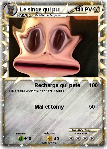 Pokemon Le singe qui pu