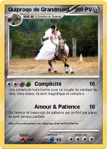 Pokemon Quiproqo de Grandmont