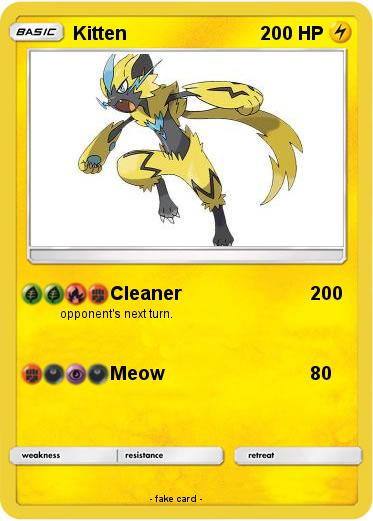 Pokemon Kitten