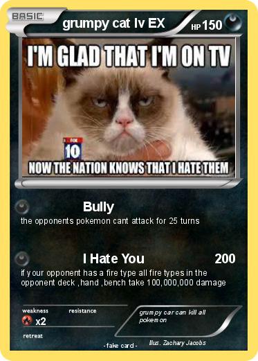 Pokemon grumpy cat lv EX