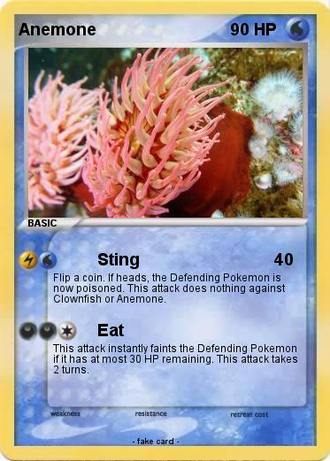 Pokemon Anemone