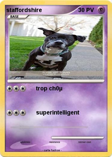 Pokemon staffordshire
