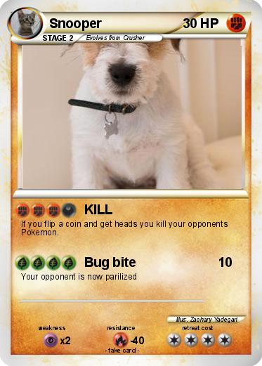 Pokemon Snooper