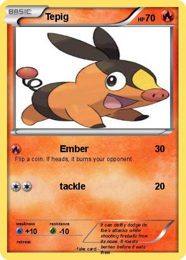 Pokemon Tepig
