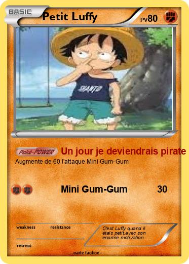 Pokemon Petit Luffy