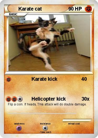 Pokemon Karate cat