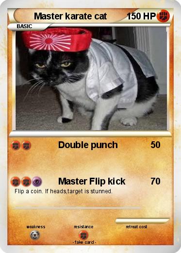 Pokemon Master karate cat