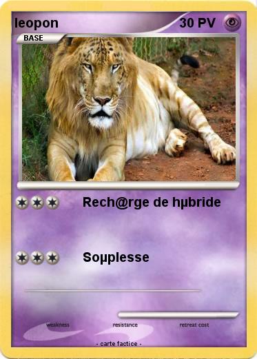 Pokemon leopon
